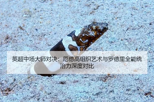 ying-chao-zhong-chang-da-shi-dui-jue-e-de-gao-zu-zhi-yi-shu-yu-luo-de-li-quan-neng-tong-zhi-li-shen-du-dui-bi-2-283.jpg