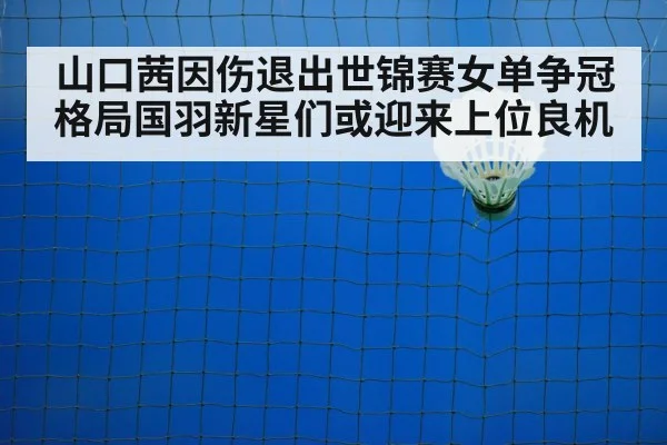 badminton court