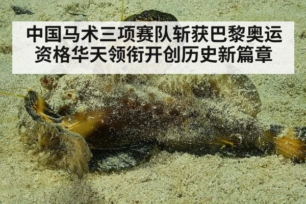 中国马术三项赛队斩获巴黎奥运资格华天领衔开创历史新篇章